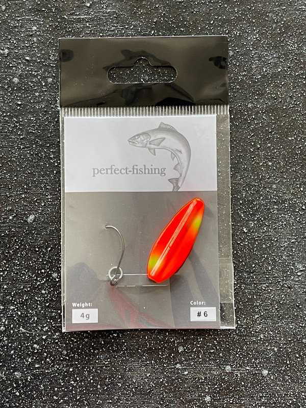 Perfect fishing Durchlaufspoons 4g #6
