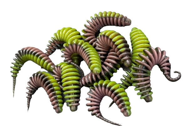 Troutworm 2.0 ( Camouflage ) Spezialfarbe